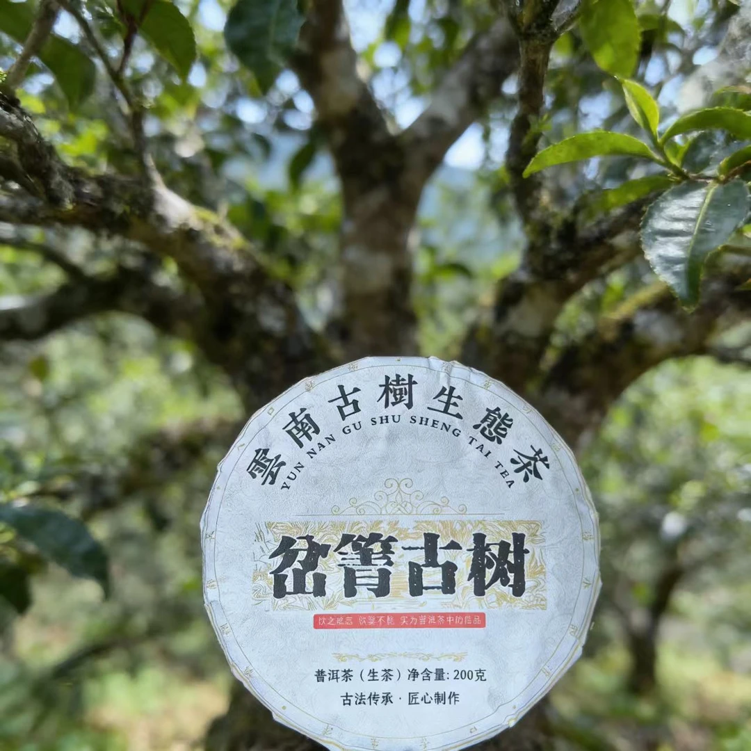 【岔箐古树春茶】普洱茶（生茶）紧压茶 200克