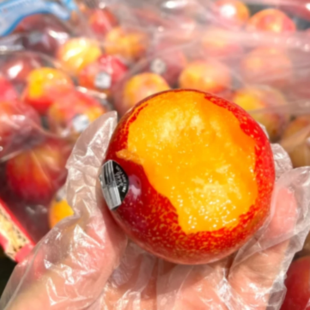 进口珠宝李一斤 当季好吃的李子