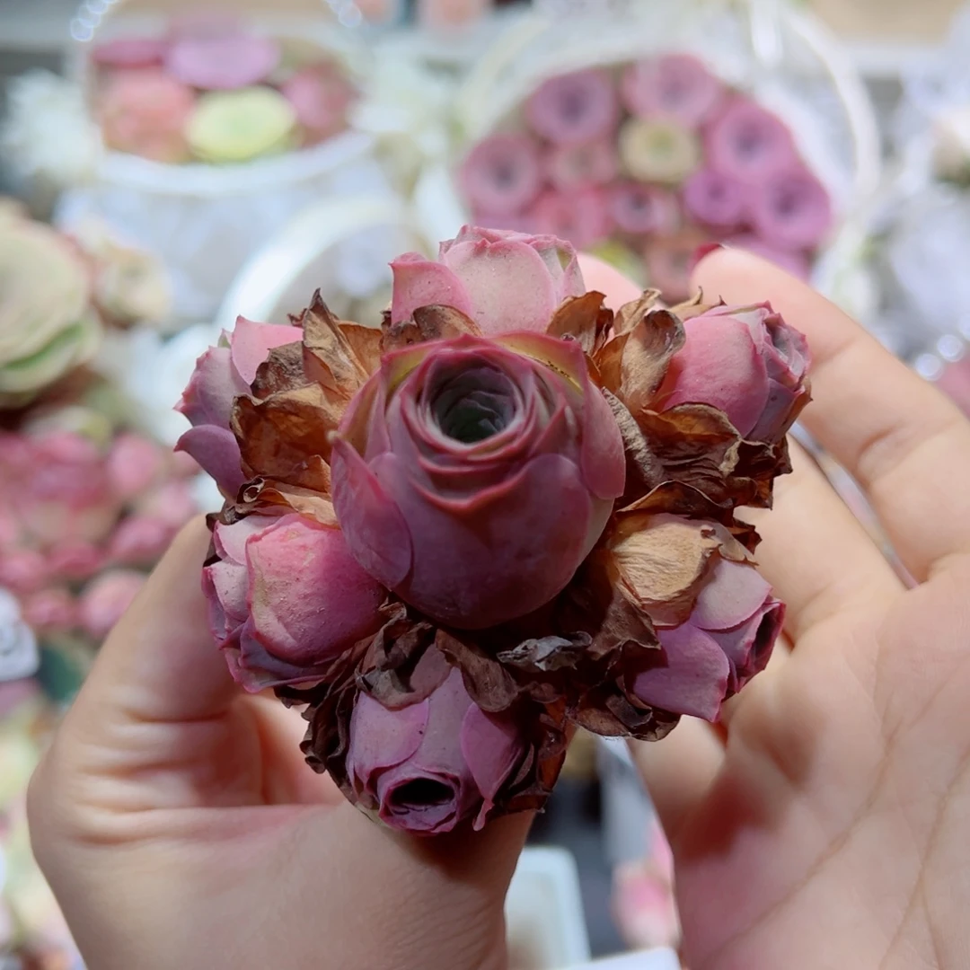 512玫粉色手捧花。