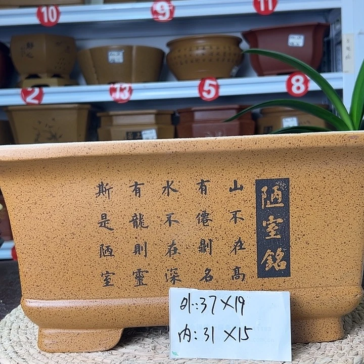 紫砂花盆蛇年大吉