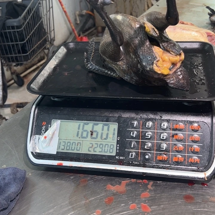 一号母鸡食用农产品中国大陆路*焱