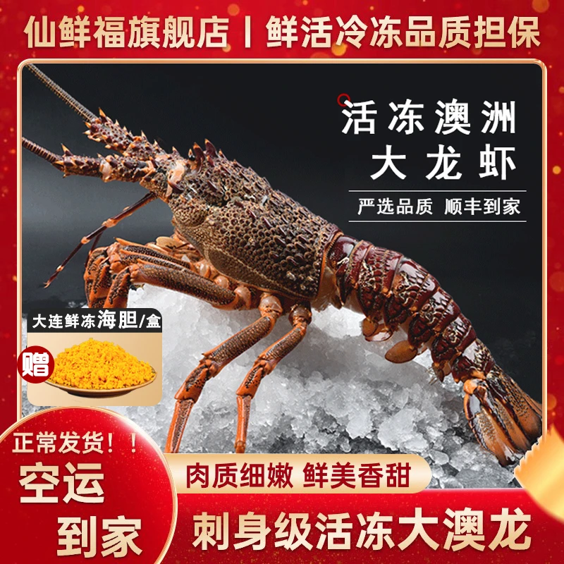 2-6斤特大澳洲大龙虾澳龙鲜活冷冻海鲜大奥龙波士顿龙虾年货送礼