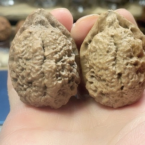 文玩核桃把件雕龙鼻烟壶带彩磕尖38