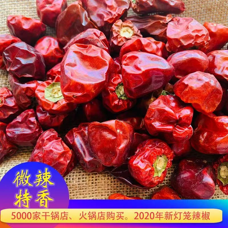 微辣特香灯笼椒干红海椒麻辣干锅火锅水果原料香型灯笼辣椒红辣椒