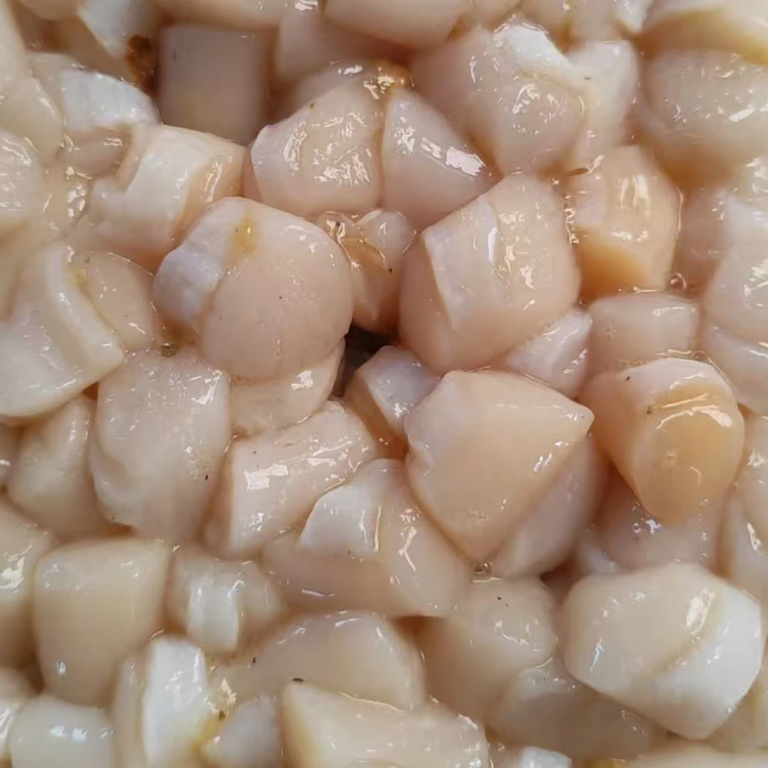 纯原浆无水扇贝柱 瑶柱 鲜活速冻锁鲜