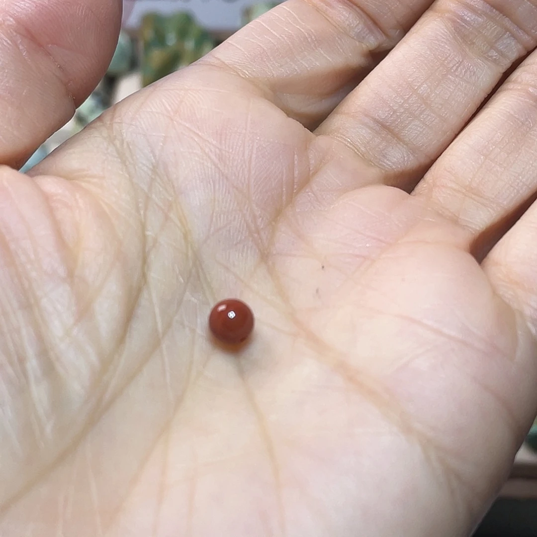 怪****南红玛瑙未镶嵌配饰