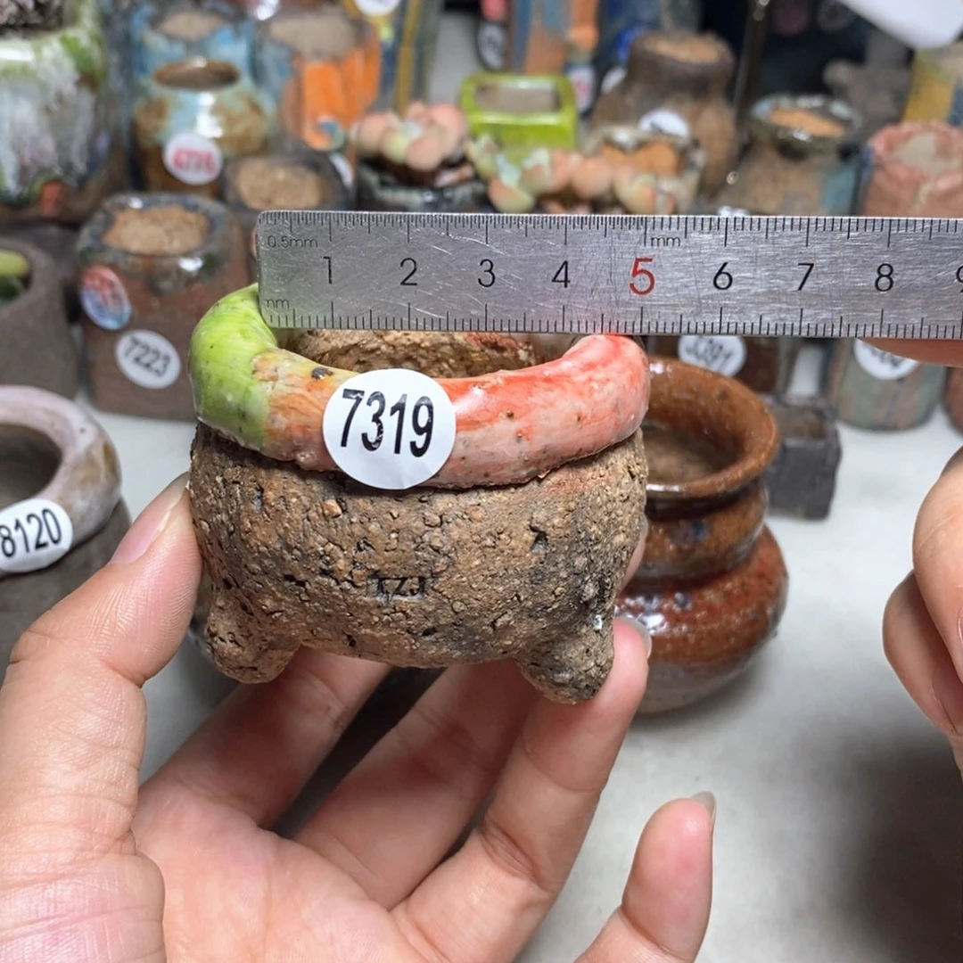 拍3送一个小礼物