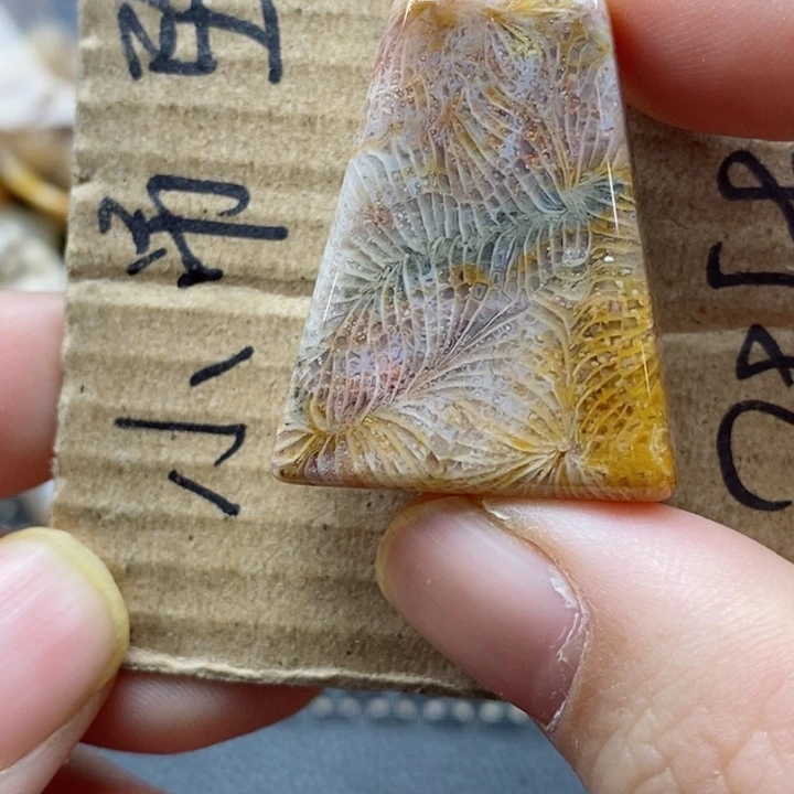 硅化珊瑚（珊瑚玉）颈饰未镶嵌