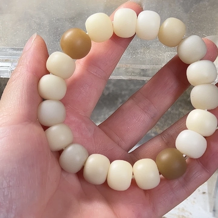 手串菩提根/象牙果