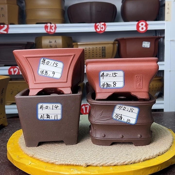 紫砂花盆蛇年大吉