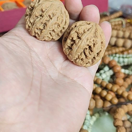 把件文玩核桃35左右粗筋配对如图