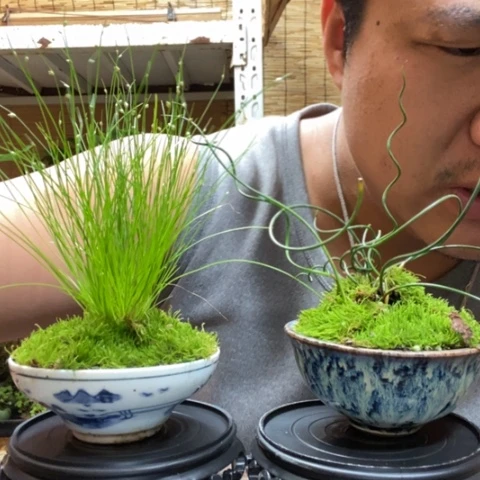 红陶c****i一物一拍所见即所得324