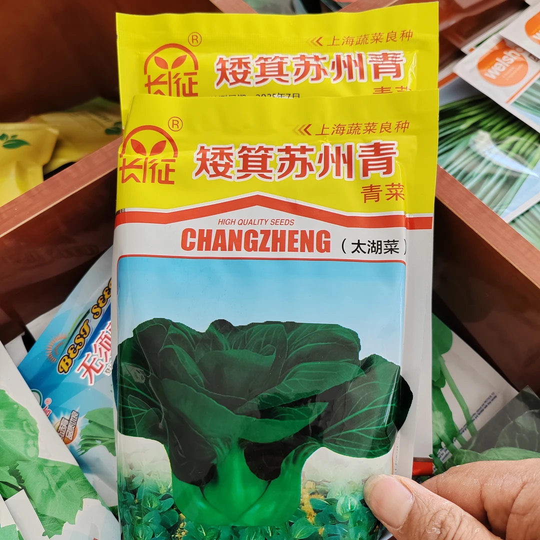 抗寒肉厚黑叶矮脚苏州青种子四季青菜种籽