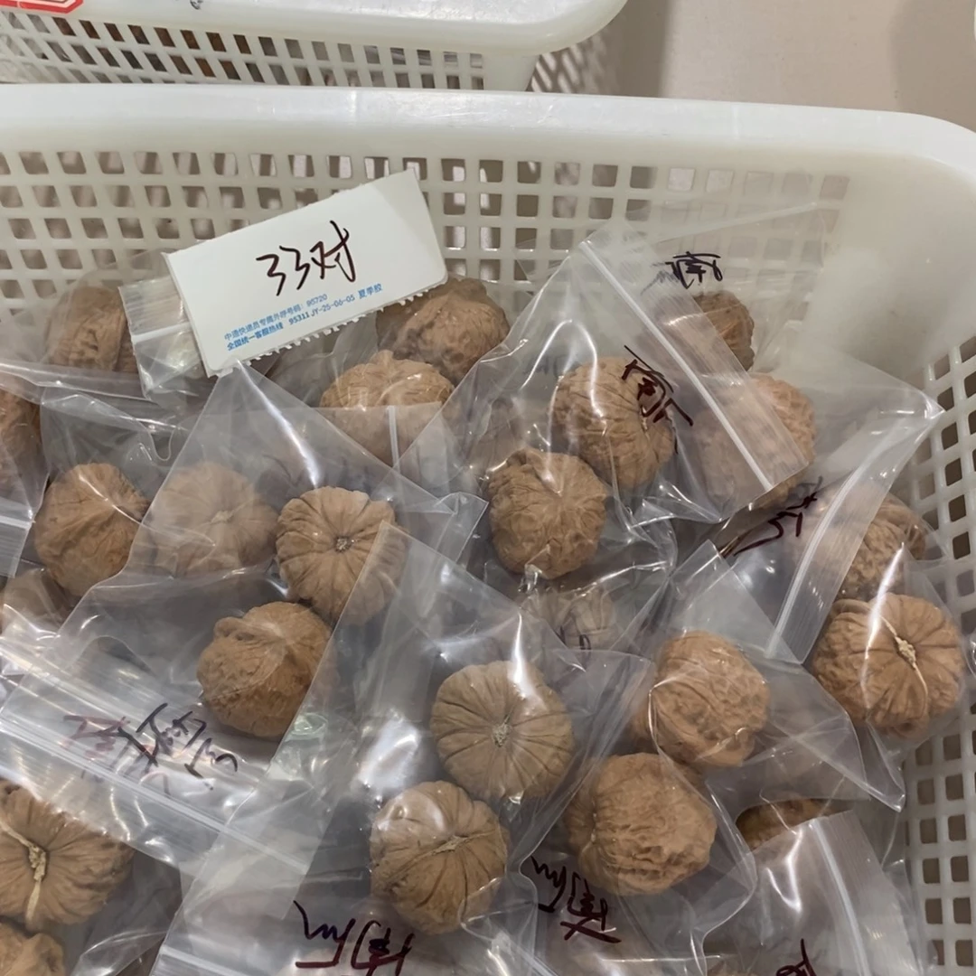 文玩核桃吊坠南瓜墩一般对团购