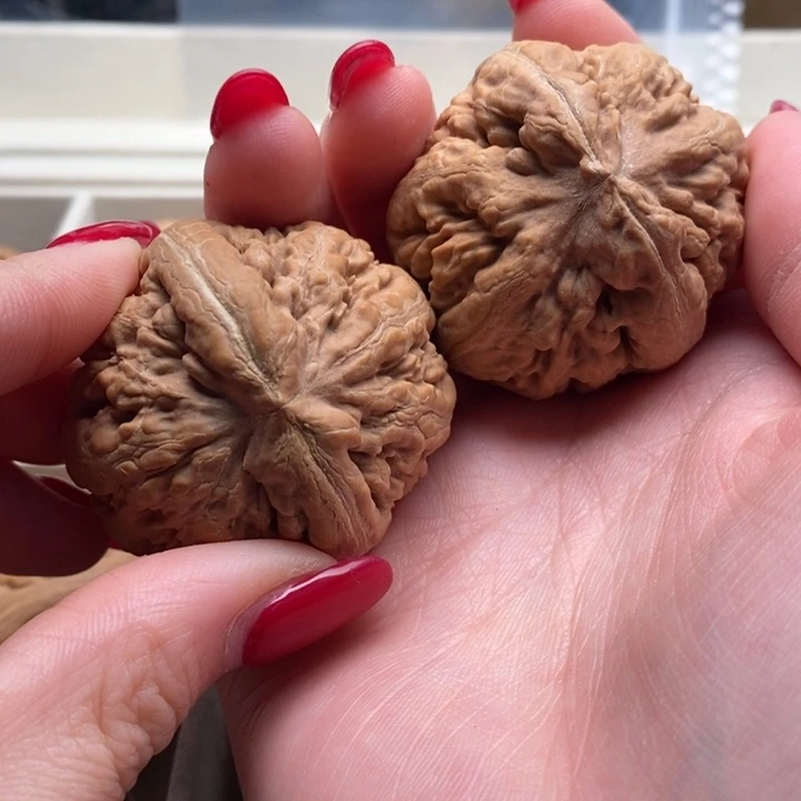 名***萃文玩核桃把件霸王龙