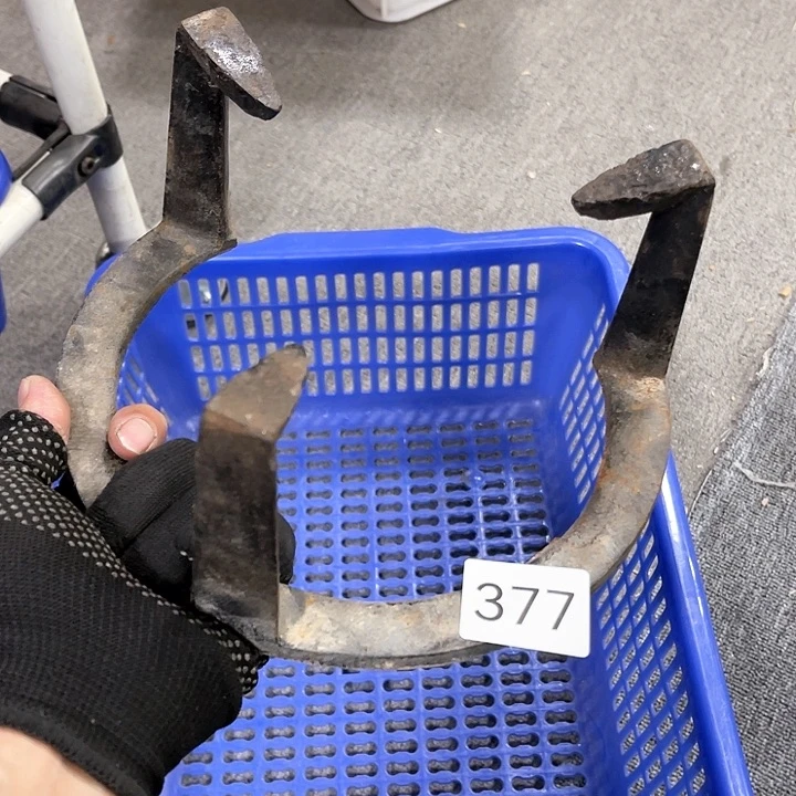 茶宠我们都在努力着改变