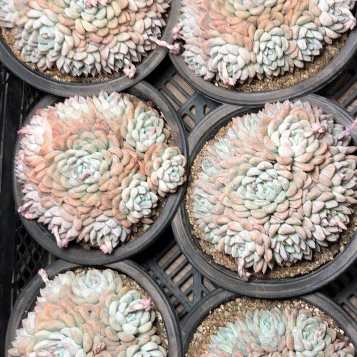 15///////////////////