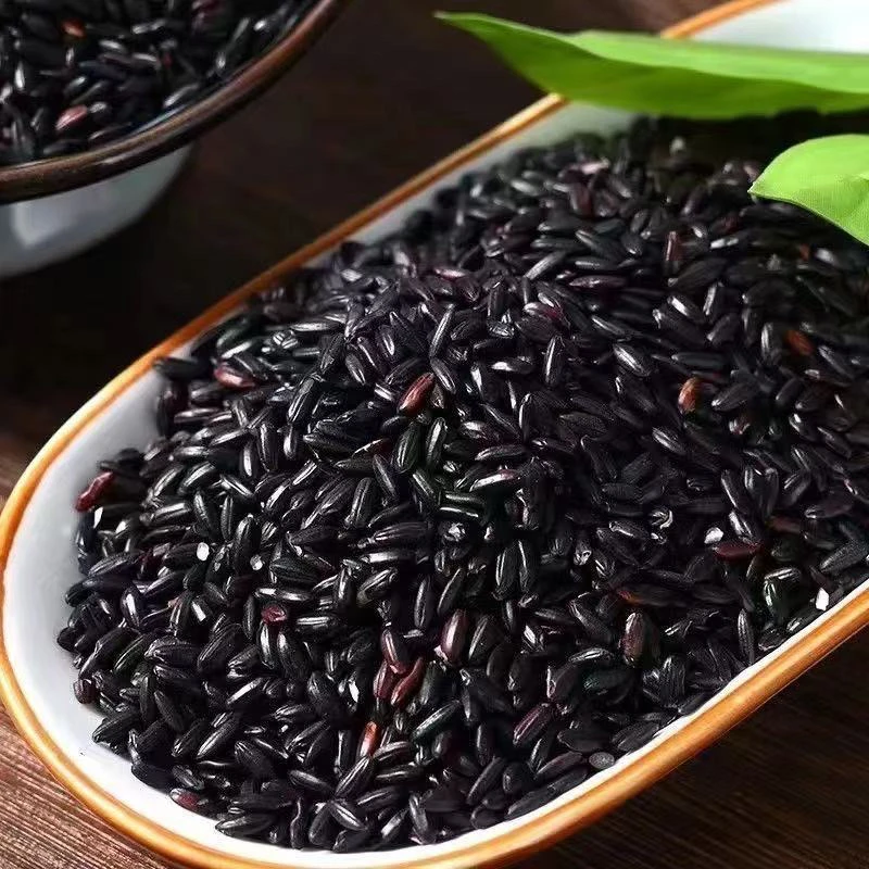 云南大集现收黑米