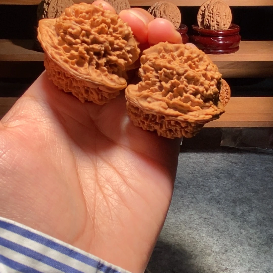 白***袍核桃其他百花山无修全品红皮43