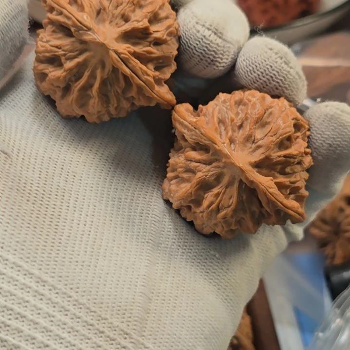 亲***亲核桃手串/手链苹果园狮子头