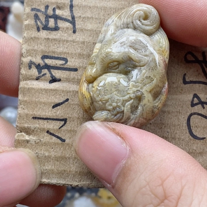 颈饰未镶嵌硅化珊瑚（珊瑚玉）灯**珊