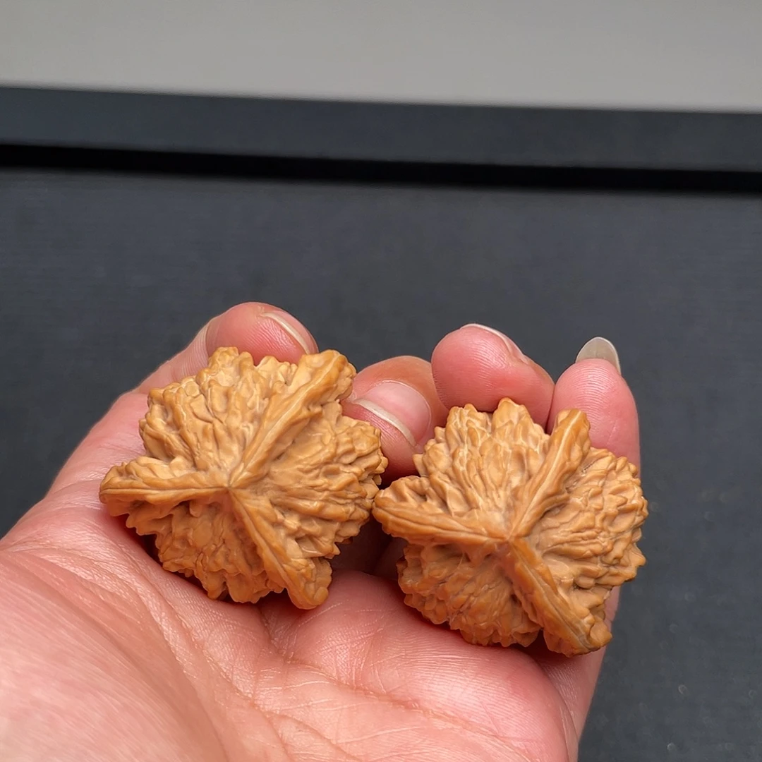 把件猴头核桃36×33盘山三棱XM3353