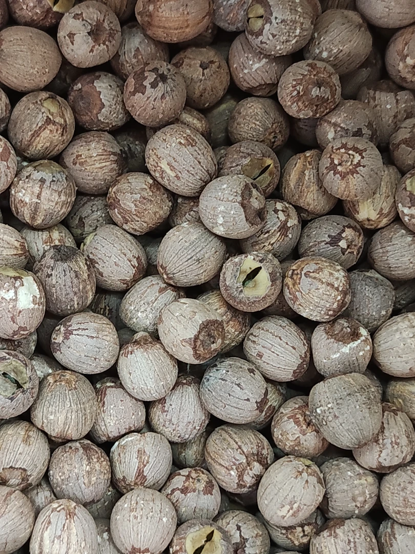 湖南湘莲子圆粒/开边500克