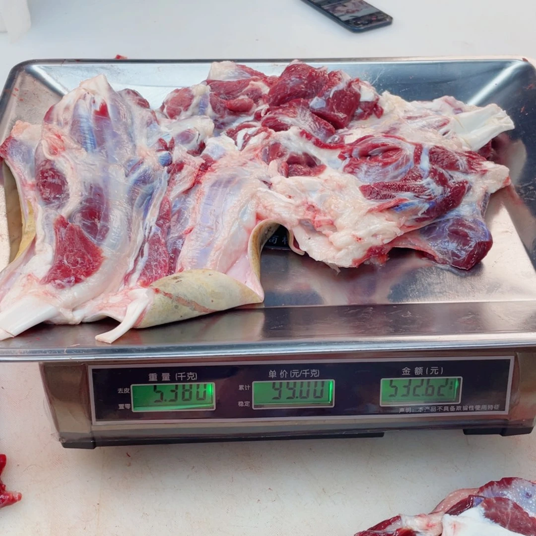 【闪购商品】冷冻保存30天包装河北省