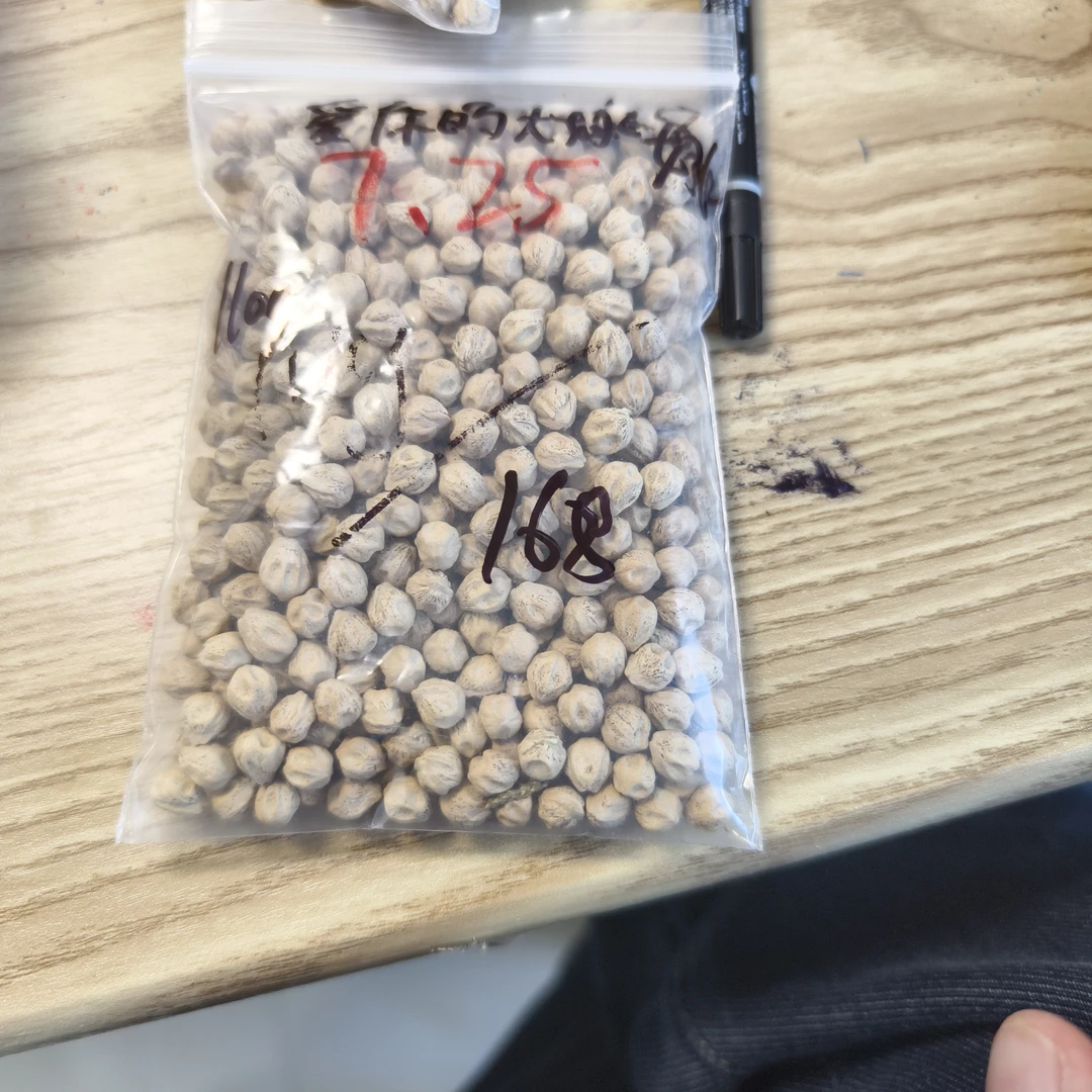 热振柏香籽散籽原料