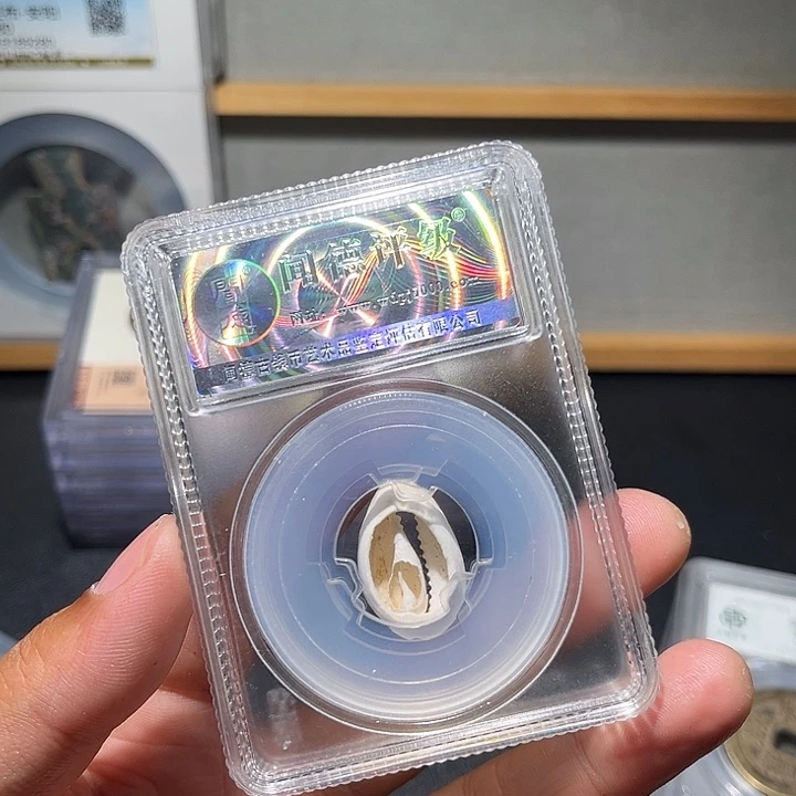 铜贝币古珍777777777