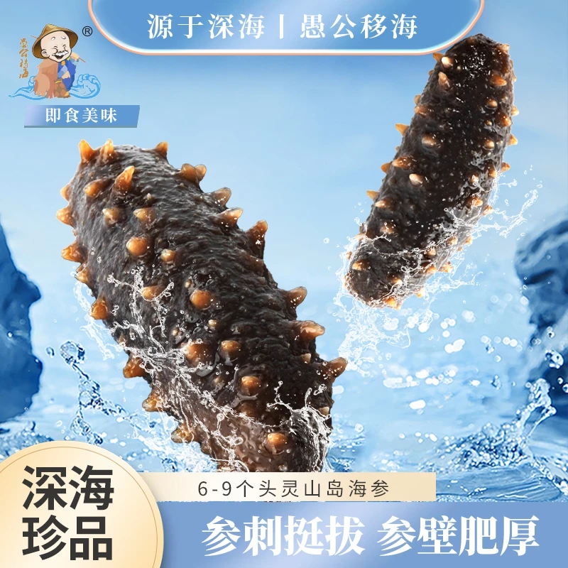 愚公移海 6-9头鲜食海参 1斤/500g装