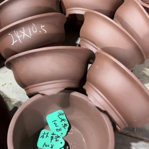 100-8。  24-10.5。