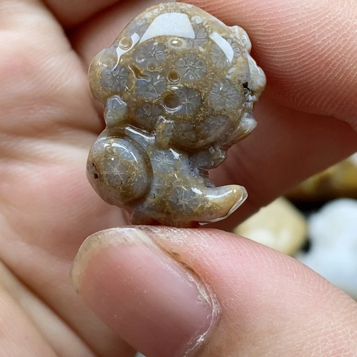 颈饰未镶嵌硅化珊瑚（珊瑚玉）有瑕 小
