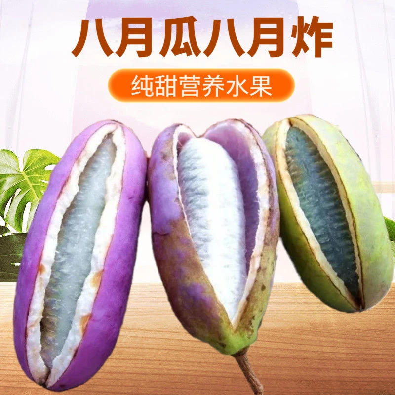 贵州新鲜八月瓜现摘稀有水果香甜软糯应季特产九月炸瓜8月瓜整箱