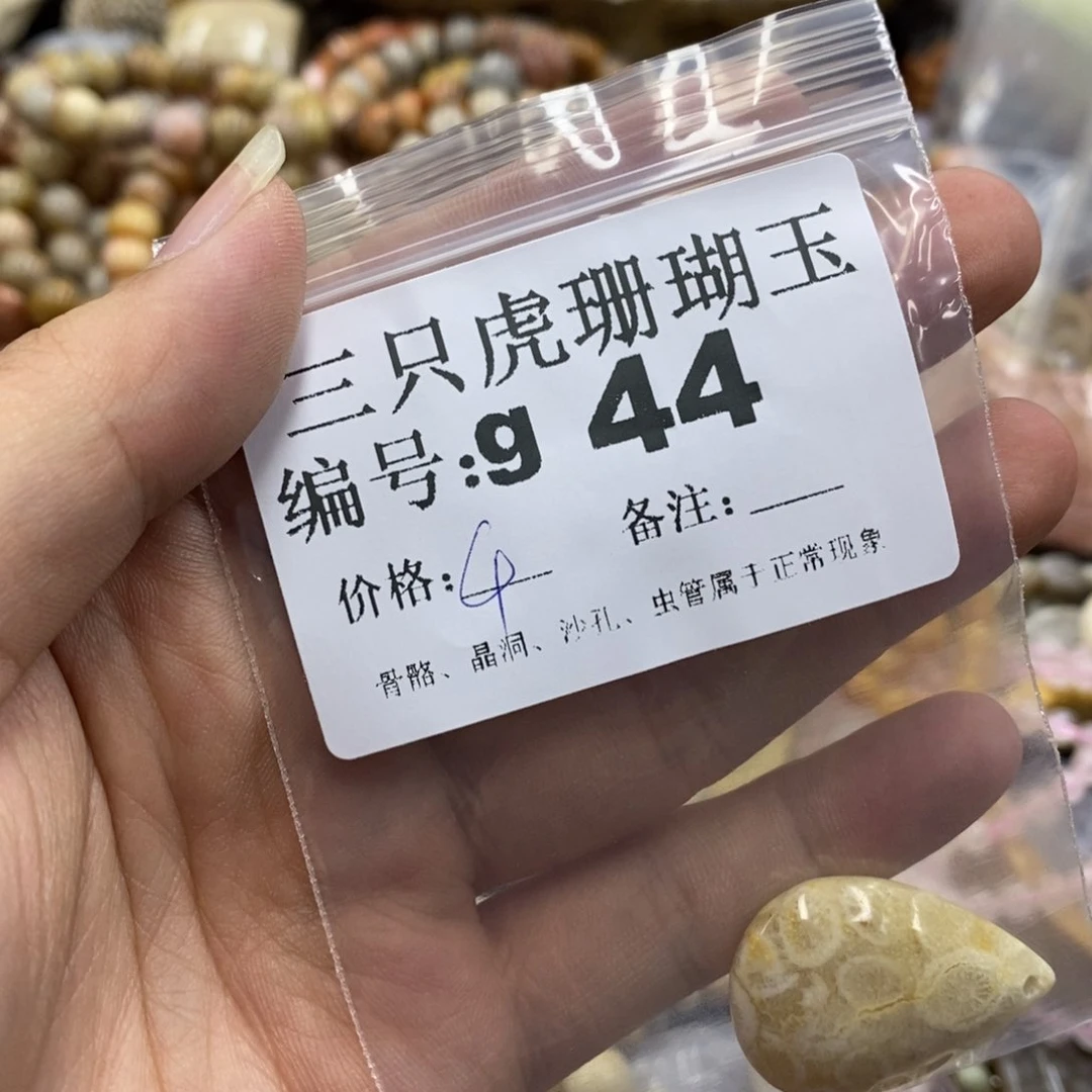 硅化珊瑚（珊瑚玉）未镶嵌X放**野