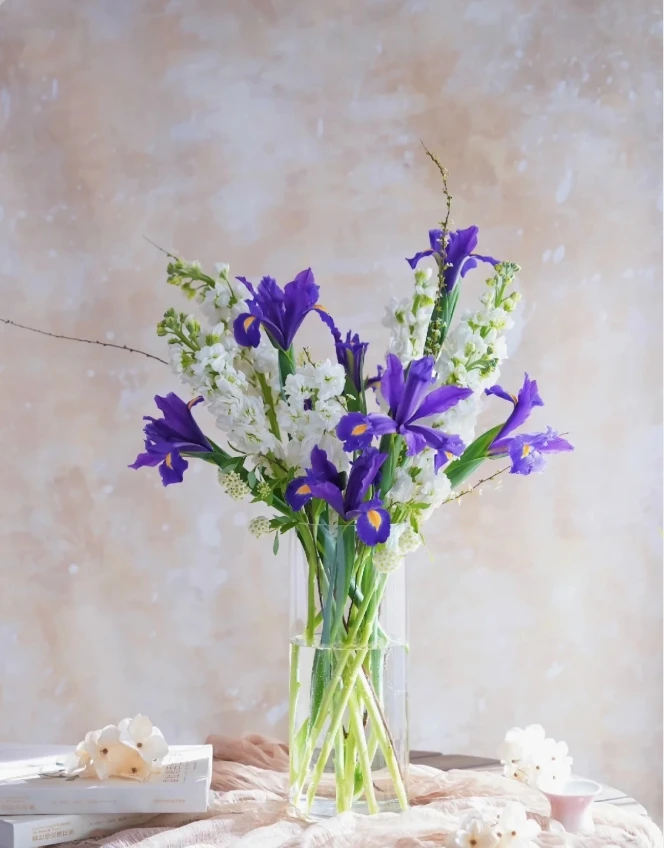 【鸢尾花】春天蓝紫色的使者丨云南基地直发丨好养耐养丨