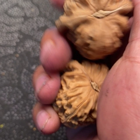 文玩核桃把件三角白20