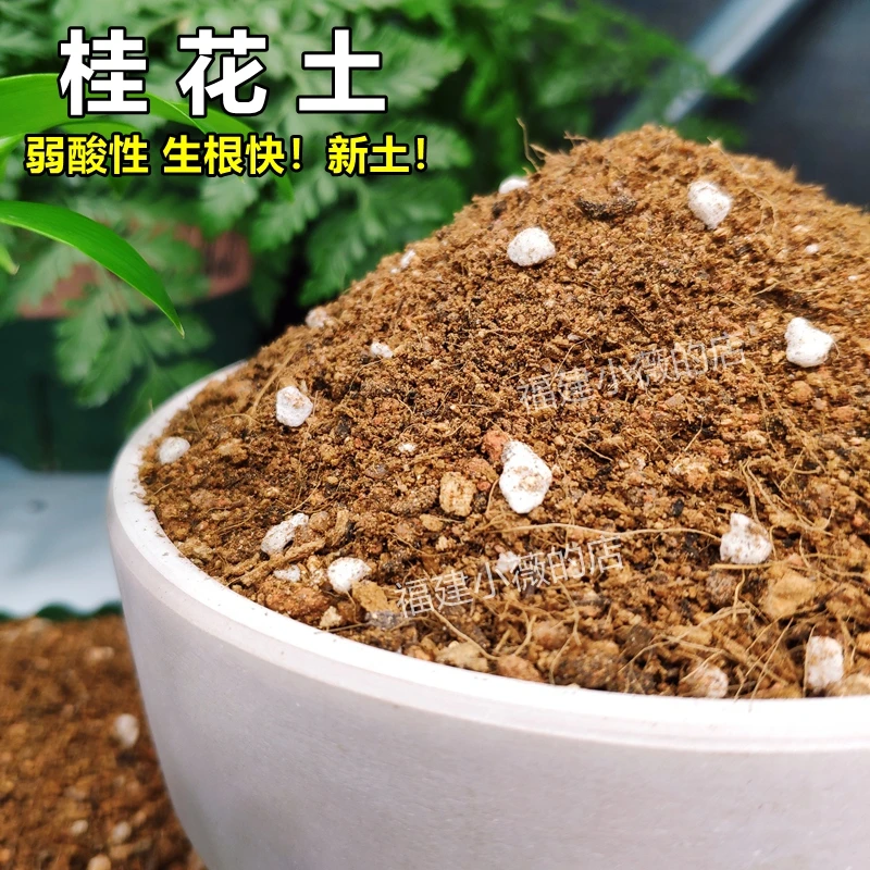 桂花专用土疏松透气弱酸性通用型盆栽花卉营养土适用木本绿植新土