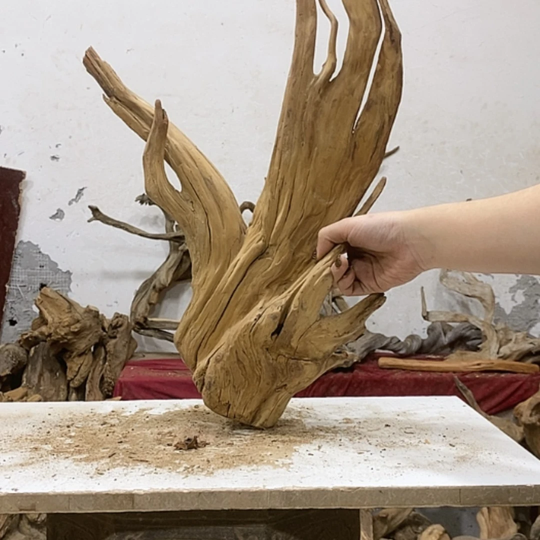 【闪购商品】柏木厚*厚我们都是好孩子