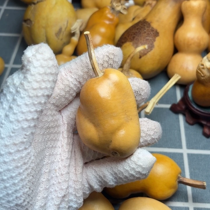 友****葫芦霉裂67666666666