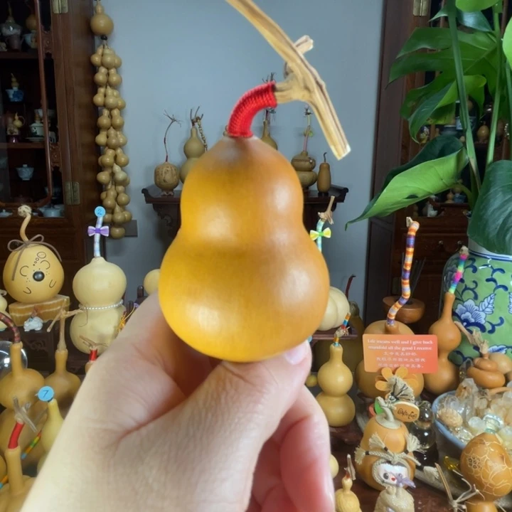 稳坐老皮葫芦满籽