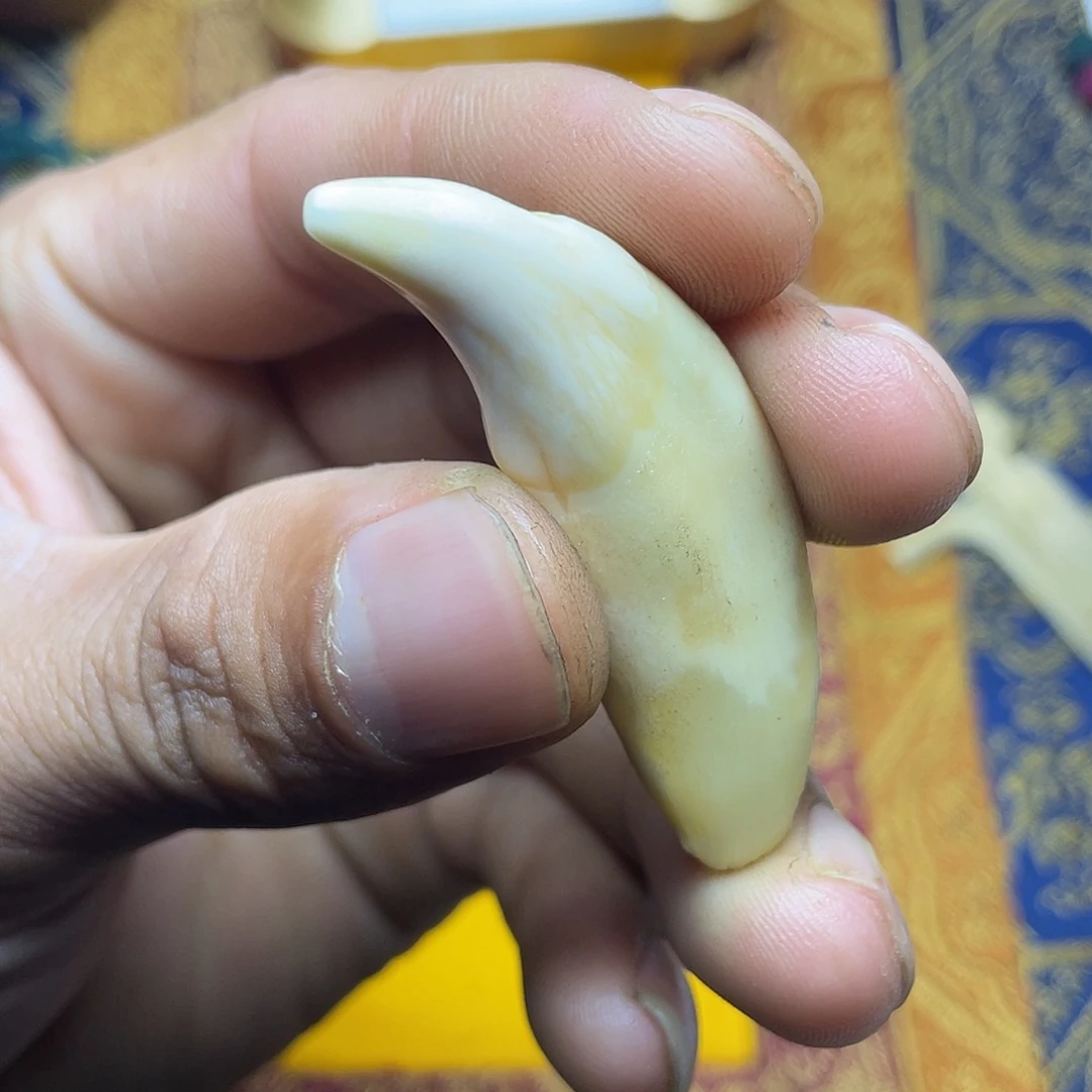 尚***盖泥塑藏传及其他有关文化