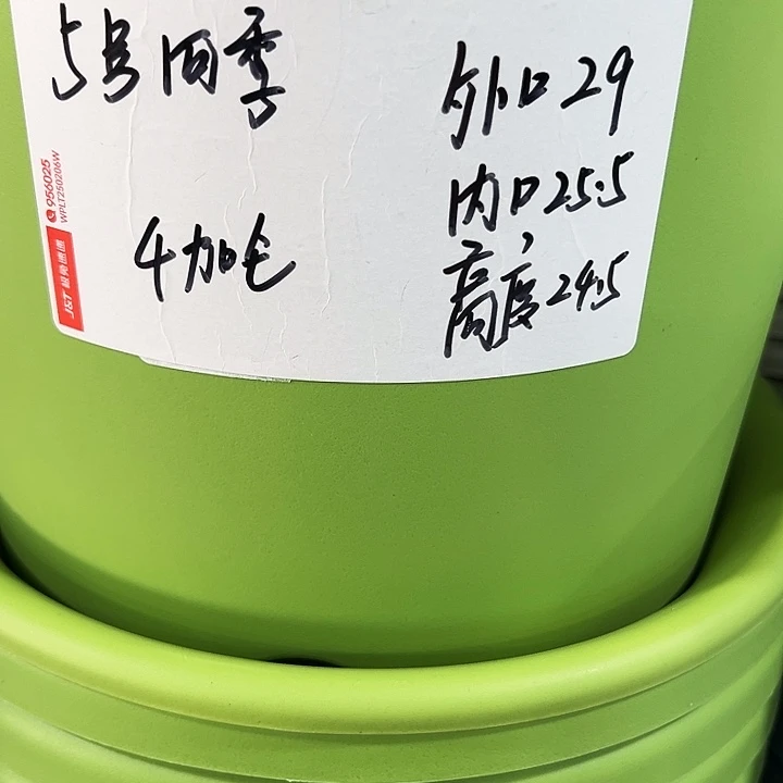 特价5号口29高24.5灰色5只无托