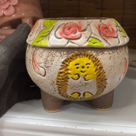 【闪购商品】红陶1