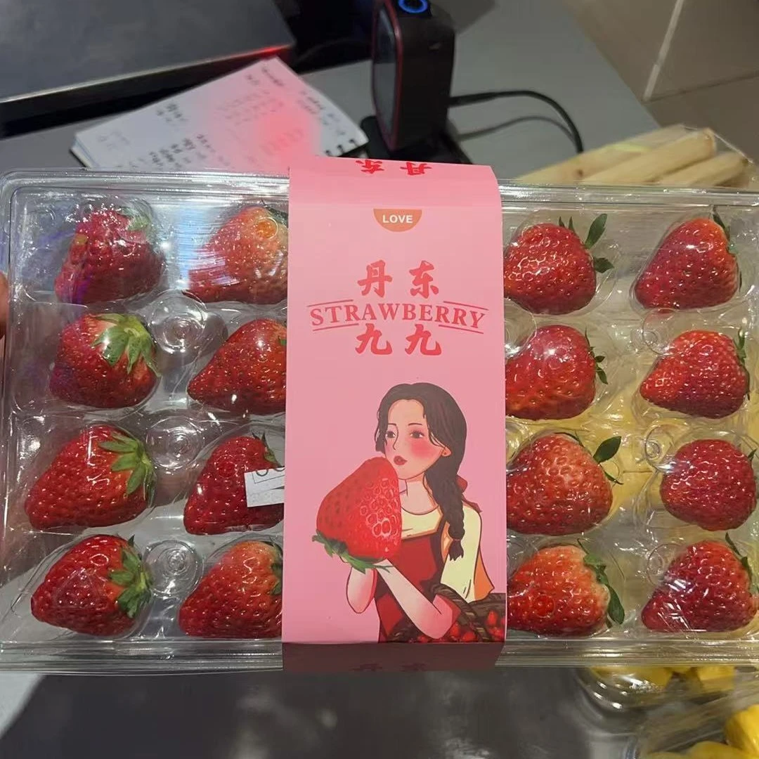 【天天鲜丨新品上市】丹东99草莓一盒辽宁省