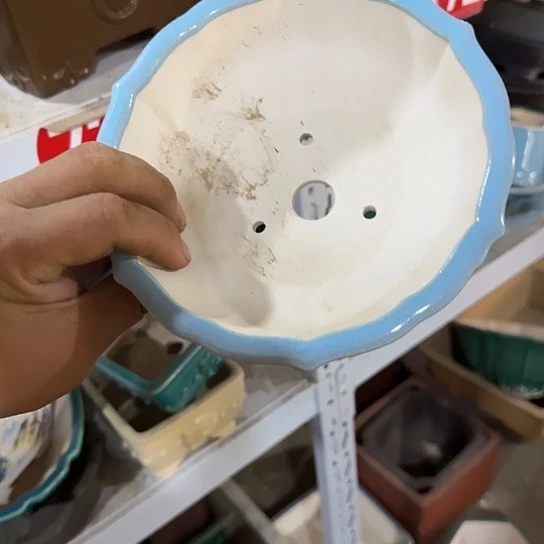 你说了就可以咯吧不要