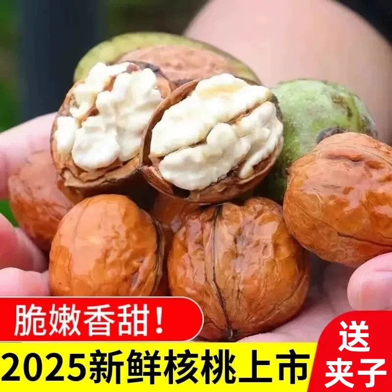 2025年云南新鲜湿核桃去青皮核桃鲜核桃生核桃嫩核桃3/5斤