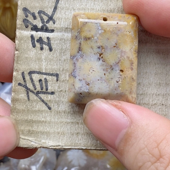 颈饰未镶嵌硅化珊瑚（珊瑚玉）小*苗小