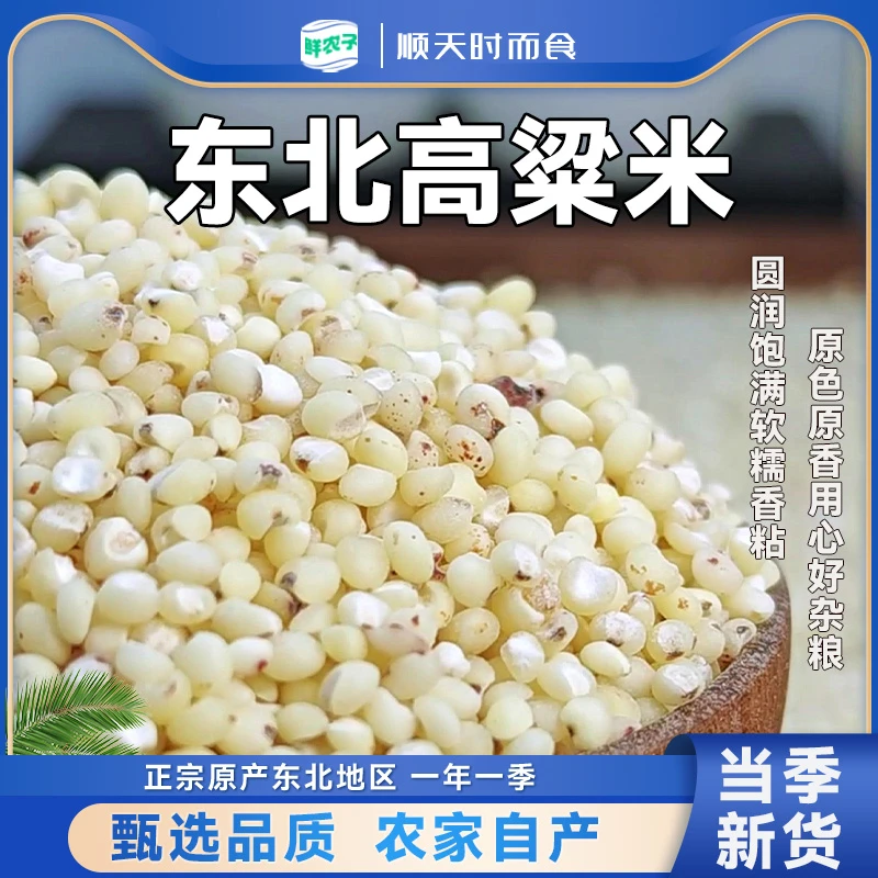 东北高粱米粗粮营养健康煮粥水饭高粱米水饭甄选五谷杂粮