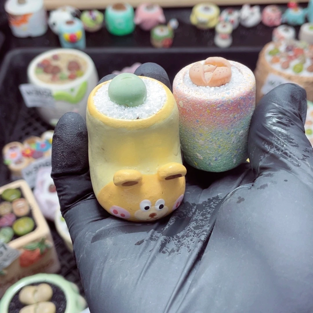 豆****哈w3072--带盆土发货，零下地区拍保温箱